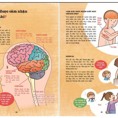Khám Phá Bí Ẩn Cơ Thể Người (Tái Bản 2022)