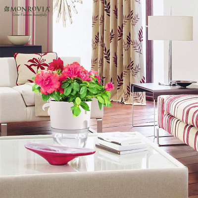 Chậu trồng cây tự tưới thông minh Monrovia, để bàn, trang trí trong nhà, bàn làm việc, sang trọng, Tiêu Chuẩn Châu Âu