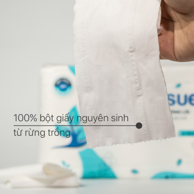 Giấy vệ sinh Ecotissue 3 lớp lốc 6 cuộn không lõi cao cấp mềm dai tự nhiên