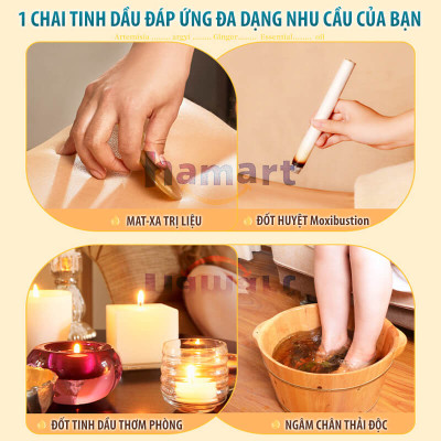 Dầu Massage Body 500ml Tinh Chất Gừng Ngải Cứu Spa Đông Y Cổ Vai Gáy Dưỡng Sinh Giảm Đau Xương Khớp