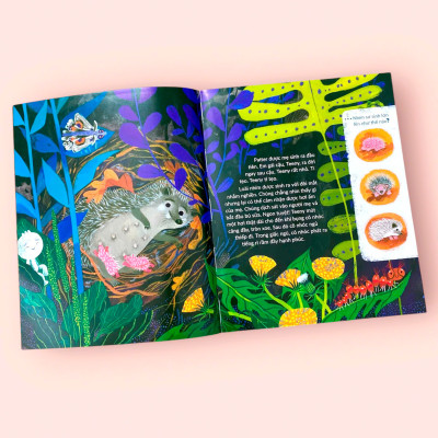 Sách cho bé - Tuli Tuli Kể Chuyện Nhà Ai Ở Đâu - Nhà Nhím Nơi Công Viên - Sách tranh cho bé