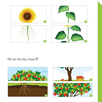 Cuốn Sổ Lớn Montessori Về Khám Phá Khoa Học (Bìa Mềm)