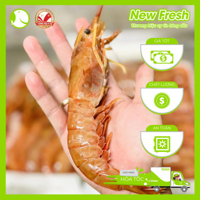 [GIAO NHANH HCM] Tôm Đỏ Atlantic Đại Tây Dương - Hộp 1Kg