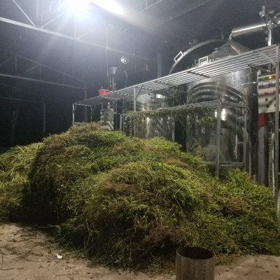 Tinh dầu Tràm Trà 100ml Mộc Mây - tinh dầu nguyên chất 100% từ thiên nhiên - chất lượng và mùi hương vượt trội