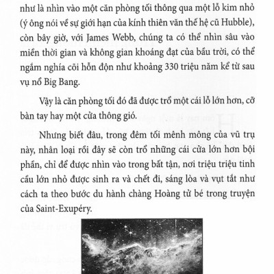 Ngang Qua Vườn Cây Dầu