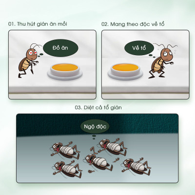 Combo 3 hộp viên diệt gián sinh học AMB, thuốc diệt gián Đức hiệu quả nhanh chóng, an toàn sức khỏe, hộp 8 viên