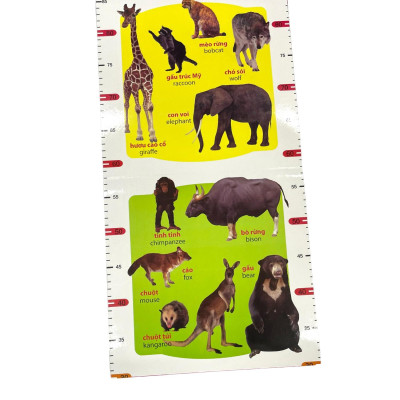 Thước Đo Chiều Cao - Động Vật Hoang Dã (Trí Việt)