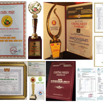 Tinh dầu Khuynh Diệp (bạch đàn) 100ml nguyên chất từ thiên nhiên - Mộc Mây