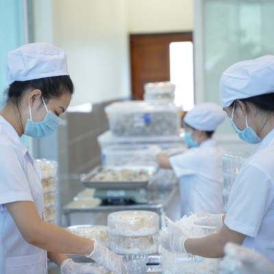 Tổ yến hồng yến tinh chế 30gr Đảo Yến Phú Quốc - yến sào tinh chế nguyên chất 100% - Tốt cho sức khỏe, tái tạo sụn khớp cho người lớn tuổi, tăng cường hệ miễn dịch cho bà bầu và trẻ nhỏ