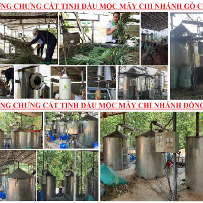 Tinh dầu hoa Hồng 10ml Mộc Mây - tinh dầu thiên nhiên nguyên chất 100% - chất lượng và mùi hương vượt trội