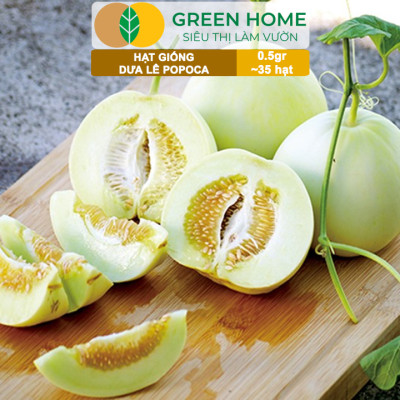 Hạt Giống Dưa Lê Popoca Siêu Ngọt, Greenhome, Gói 0.5GR~35 hạt, Dễ Trồng Quanh Năm, Nảy Mầm Cao, T25