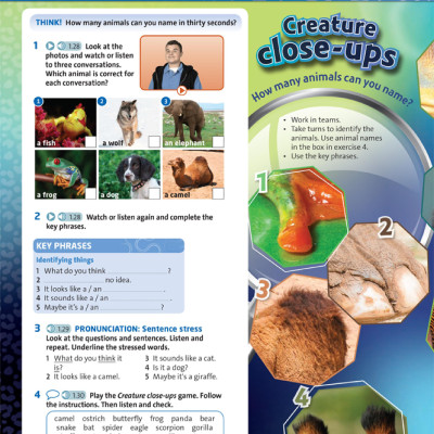 English Plus: Level 1: Student