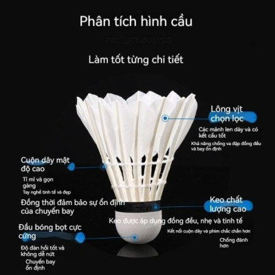 Hộp 12 quả cầu lông hộp xanh