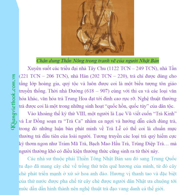 Bí Quyết Thành Công Kĩ Thuật Trồng Trà Xanh Hiệu Quả - KV