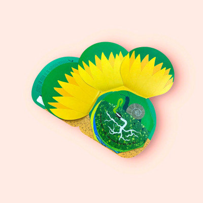 Sách cho bé - Vòng Đời Kỳ Diệu - Hoa Hướng Dương Lớn Lên Như Thế Nào? - Sách tranh, lật mở bông hoa - Khám phá tự nhiên