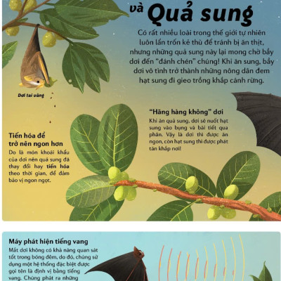 Những Cặp Bài Trùng Trong Thế Giới Động Vật – Mối Quan Hệ Cộng Sinh Thú Vị Trong Thế Giới Động Thực Vật