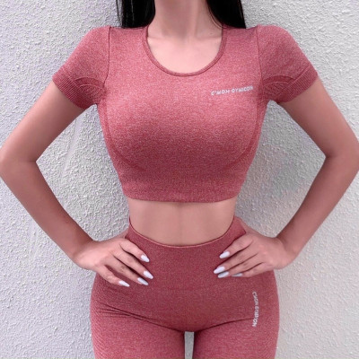 Áo Croptop Vải Dệt Kim Co Giãn 4 Chiều Cao Cấp