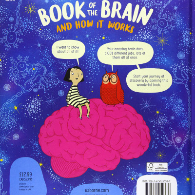 Sách - Anh: Usborne Book Of The Brain And How It Works