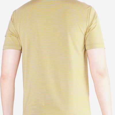 Áo Phông Nam Kẻ Ngang Aligro ALGAPC019