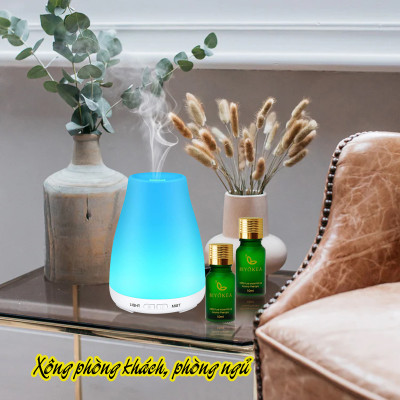 Tinh Dầu Quýt Biyokea (10ml)