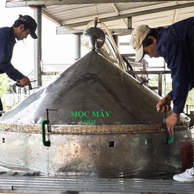 Tinh dầu Tràm Trà 10ml Mộc Mây - tinh dầu nguyên chất 100% từ thiên nhiên - chất lượng và mùi hương vượt trội