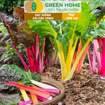 Hạt Giống Rau Cải Cầu Vồng Greenhome, Gói 10g~450 hạt, Dễ Trồng Quanh Năm, Nảy Mầm Cao, Thu Hoạch Nhanh, Năng Suất Cao R06