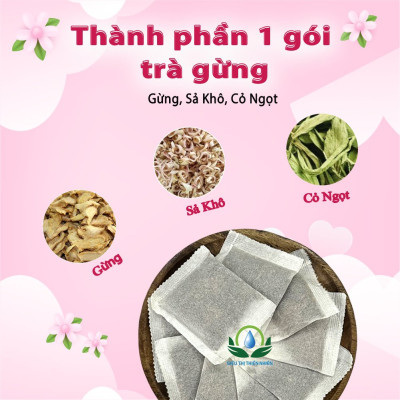 Trà Gừng hộp 30 Túi Lọc x 3gram Siêu Thị Thiên Nhiên