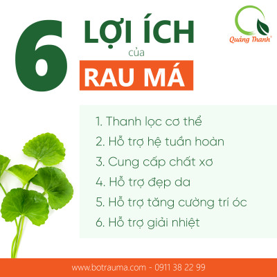 Rau Má Uống Liền Sấy Lạnh Nguyên Chất Hộp Ko Đường (3g*15 gói)  - Mát gan, detox, giảm mụn, giảm cân, giải nhiệt
