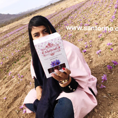 Nhuỵ hoa nghệ tây MahbooB