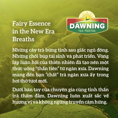 Combo 5 hộp trà sữa trân châu DAWNING Đậm vị trà, hương thơm trà tự nhiên giúp tỉnh táo 260g