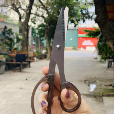 Combo 03 Kéo văn phòng Echo Metal 180mm hàng nội địa Nhật Bản (giao màu ngẫu nhiên)