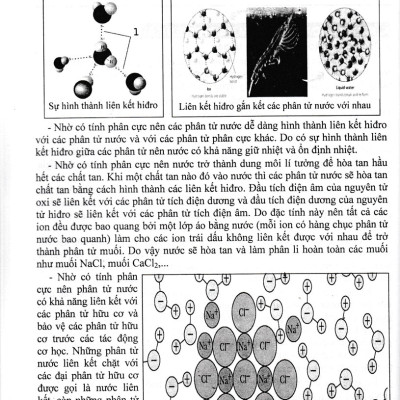 BỒI DƯỠNG HỌC SINH GIỎI SINH HỌC 10 (BIÊN SOẠN THEO CHƯƠNG TRÌNH GDPT MỚI)