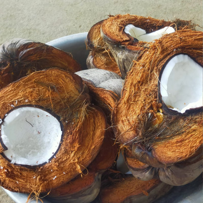 Tinh Dầu Dừa Nấu Thủ Công nguyên chất dưỡng da, dưỡng tóc, dưỡng môi handmade