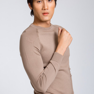 Áo len dài tay Aligro ALEND038