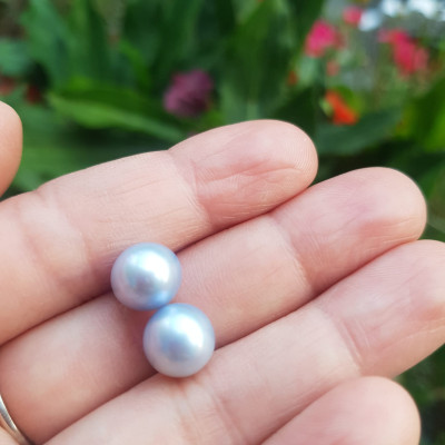 Đôi Bông Tai Ngọc Trai xanh dương nhẹ bóng đẹp 9mm  Size hạt 9mm ngọc trai cao cấp thiên nhiên mệnh Thủy Mộc   Nữ về bọc Vàng làm đôi bông tai vàng đeo cực kỳ xinh luôn ạ