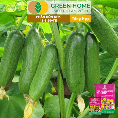 Phân NPK 15-5-20 Greenhome, Minro, Bao 1Kg, Kích Ra Hoa, Tăng Đậu Trái Trên Kiểng, Cây Ăn Trái, Củ